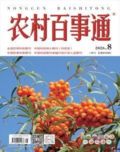 农村百事通