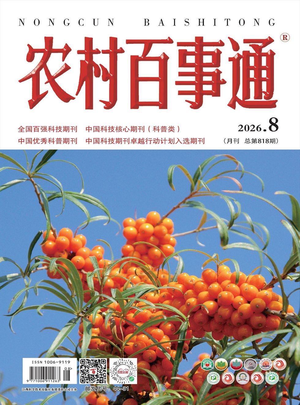 农村百事通