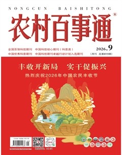 农村百事通