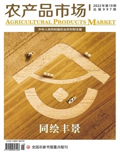 農(nóng)產(chǎn)品市場(chǎng)