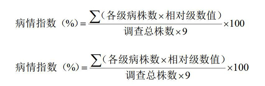 ???zo??)j馝4?