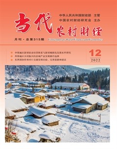 当代农村财经