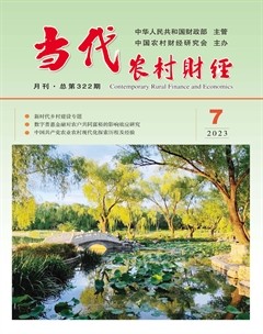 当代农村财经