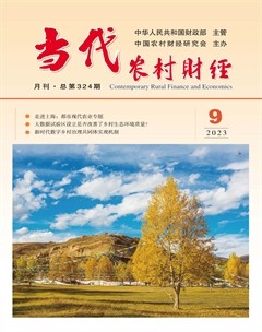 当代农村财经