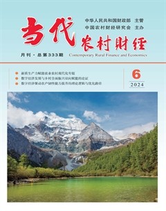 当代农村财经