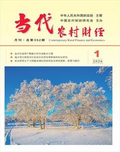 当代农村财经
