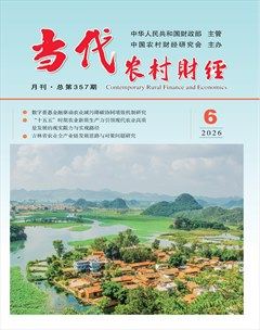 当代农村财经