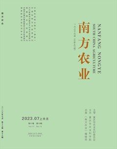 南方农业·上