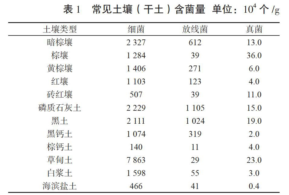 nfyx202105106-1-l.jpg
