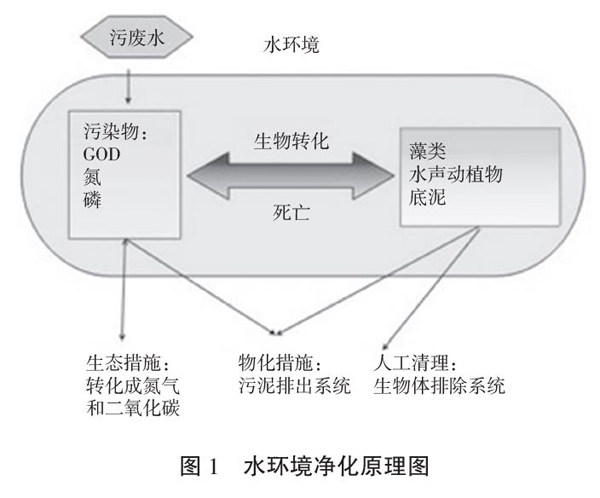 nfyx202109107-1-l.jpg