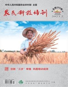 农民科技培训