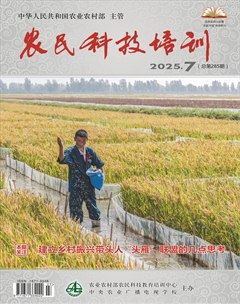 农民科技培训