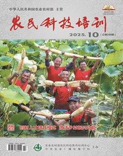 农民科技培训