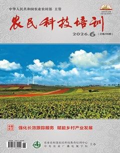 农民科技培训