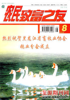2008年第8期