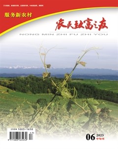农民致富之友