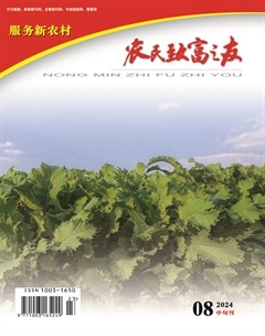 农民致富之友