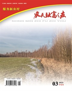 农民致富之友
