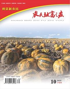 农民致富之友