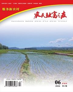农民致富之友