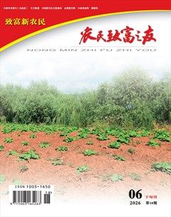 农民致富之友