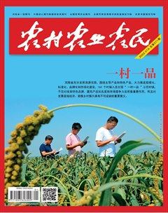 农村·农业·农民