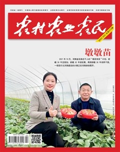 农村·农业·农民