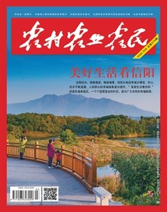农村·农业·农民