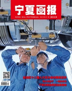 宁夏画报