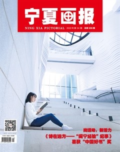 宁夏画报