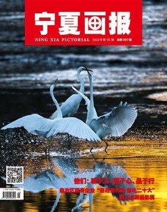 宁夏画报