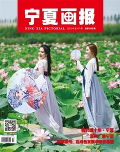 宁夏画报