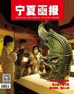 宁夏画报