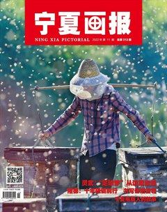 宁夏画报