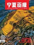 宁夏画报