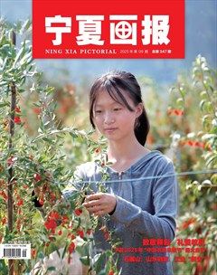 宁夏画报