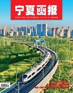 宁夏画报