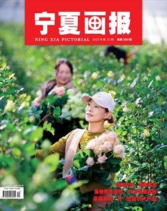 宁夏画报