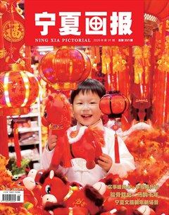 宁夏画报