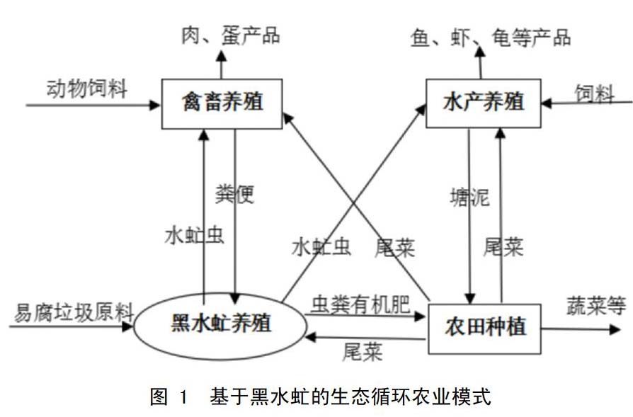 zoޛ)j馟iC޽�3Mu?,m5O7MuGz&[z{:h:MtMGyntM$tMiOM饨ky