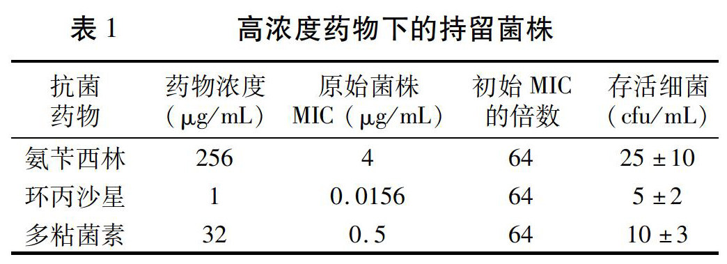 zoޛ)j馞)颞+'qbsn}`-m #iKvP5Mx_tMtNviZǌ -}bbLziըky