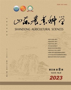 山东农业科学