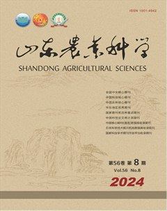 2024年第8期