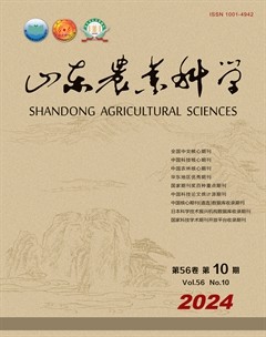 山東農(nóng)業(yè)科學(xué)