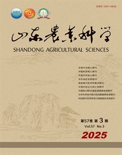2025年第3期