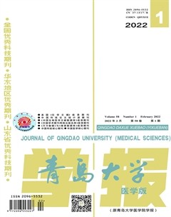 青岛大学学报（医学版）