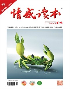 2013年第8期