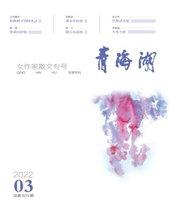 青海湖