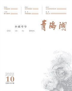 青海湖