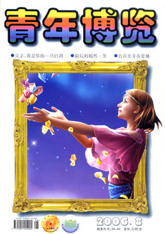 2006年第8期